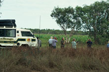 Cap York, Queensland, Australie