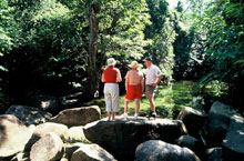Cap York, Queensland, Australie Cap York, Queensland, Australie