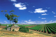 Les Collines d'Adlaide, Australie du Sud