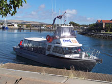 Adventure Bay Charters, Port Lincoln, Australie du Sud