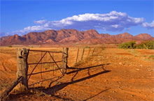 Les Flinders Ranges, Australie du Sud