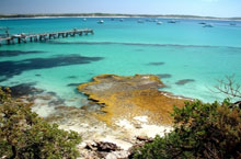 Vivonne Bay, Kangaroo Island, Australie du Sud Vivonne Bay, Kangaroo Island, Australie du Sud