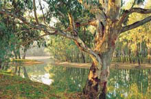 Murray River, Australie du Sud, Australie Murray River, Australie du Sud, Australie