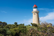Seal Bay, Kangaroo Island, Australie Seal Bay, Kangaroo Island, Australie