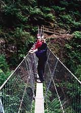 Le Pont de Montezuma, Tasmanie, Australie