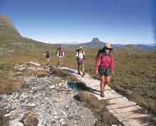 Overland Track, Tasmanie, Australie