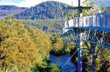 Tahune Airwalk, Tasmanie, Australie