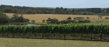 Domaine de Paradigm Hill, Victoria, Australie. 