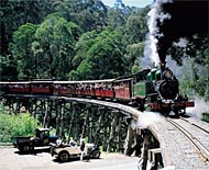 La Dandenong Ranges, Australie