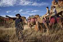 Randonnée en chameau, Australie de l'Ouest Randonnée en chameau, Australie de l'Ouest