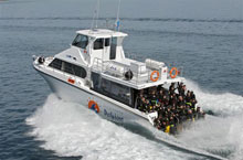 Bateau utilis, Rockingham, Australie de l'Ouest