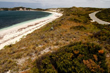 Rottnest Island, Australie de l'Ouest