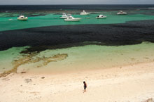 Rottnest Island, Australie de l'Ouest