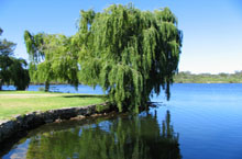 Yanchep National Park, Australie de l'Ouest, Australie