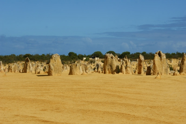 Pinnacles Desert | Adventure Tours Australia Pinnacles Desert