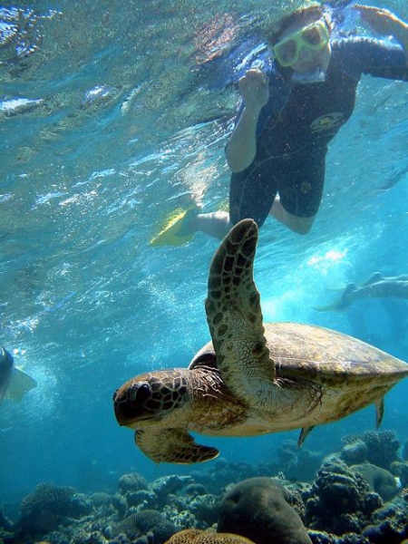 Coral Bay | Adventure Tours Australia Coral Bay