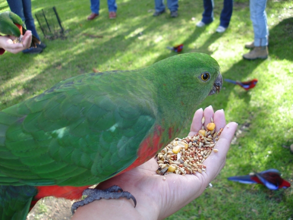 Wilsons Promontory National Park | Adventure Tours Australia Wilsons Promontory National Park