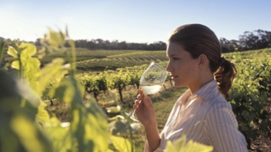 Adventure Tours Australia: 1 Day Taste the Barossa Tour